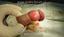 watermarked-20150905_152755.jpg