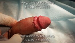 watermarked-20150905_154333.jpg
